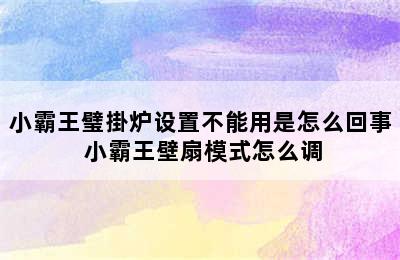 小霸王璧掛炉设置不能用是怎么回事 小霸王壁扇模式怎么调